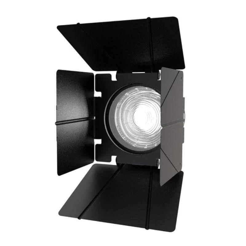 Aputure F10 Barndoors