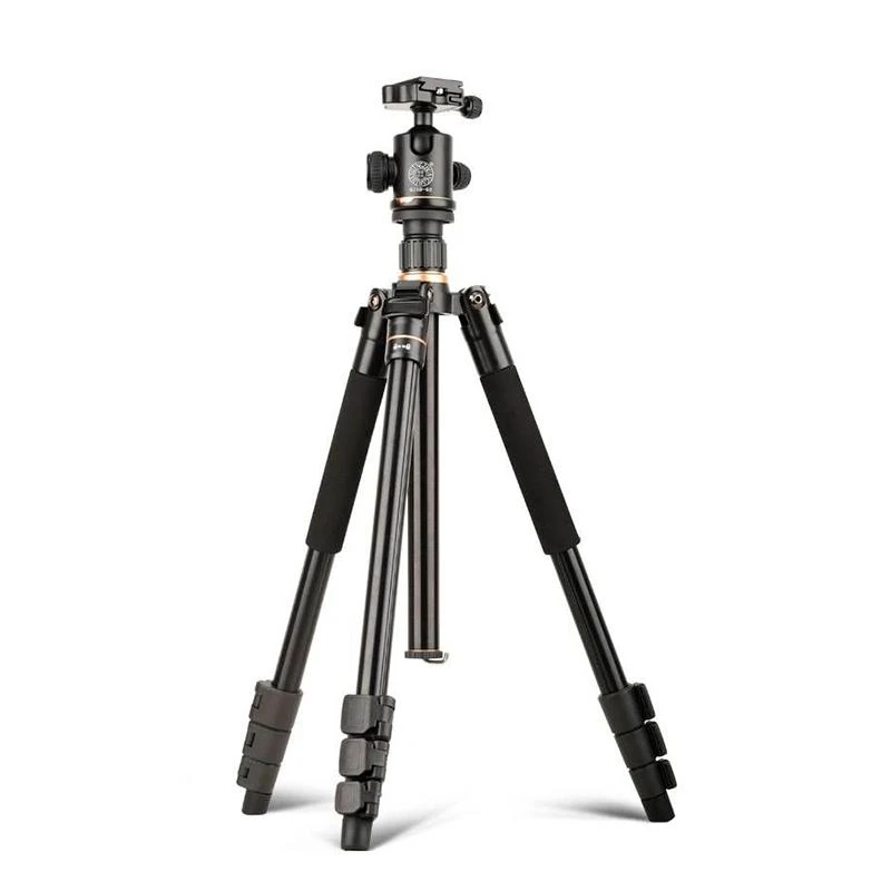 Tripe QZSD Q520 / Con Monope